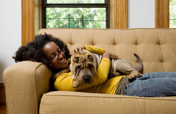 Furniture-Woman-on-Couch-with-Dog